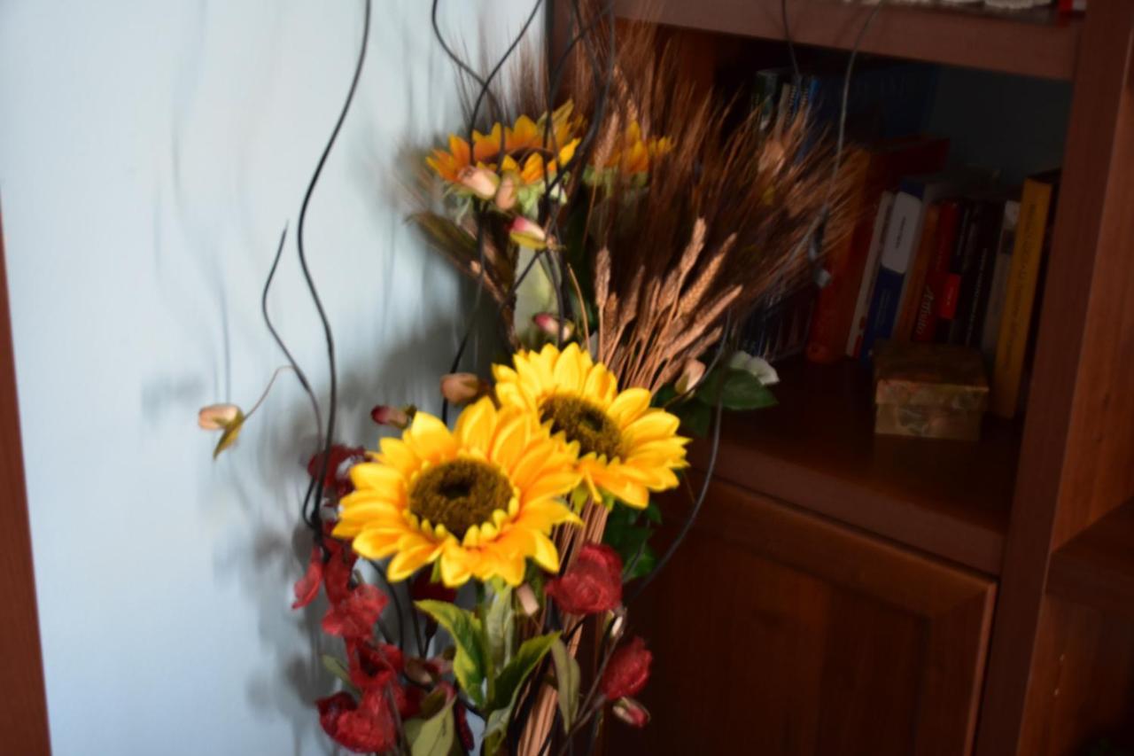 B&B Il Girasole Assemini Buitenkant foto